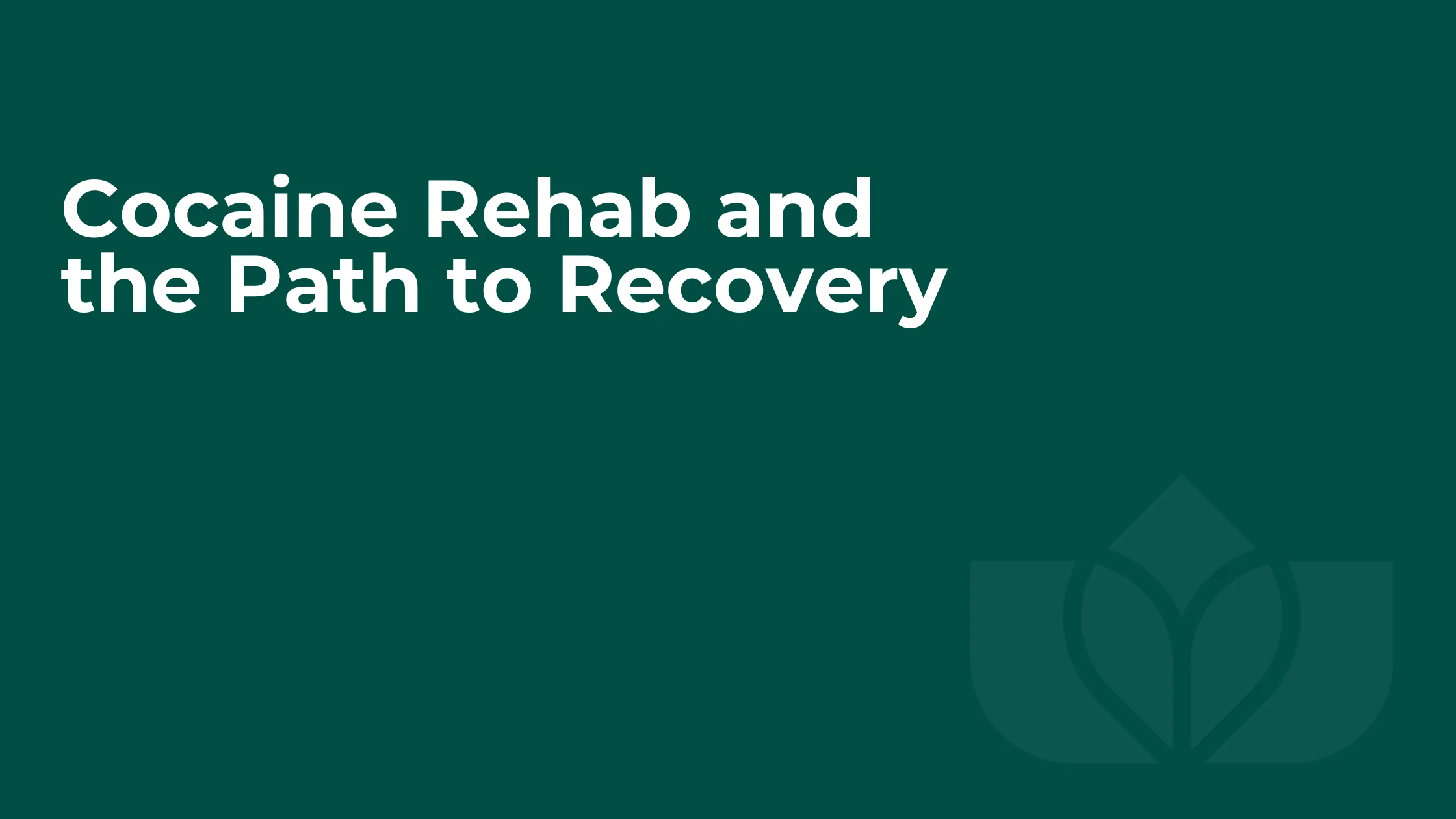 Cocaine Rehab and the Path to Recovery